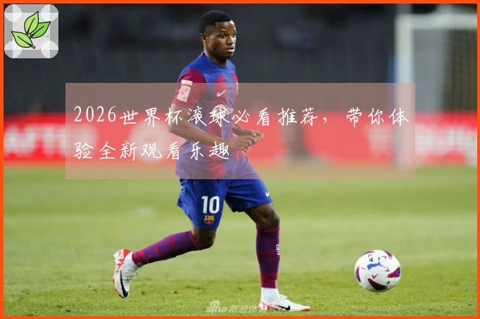 2026世界杯滚球必看推荐，带你体验全新观看乐趣