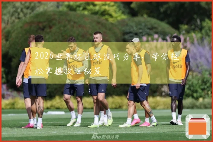 2026世界杯让球技巧分享，带你轻松掌握投注秘笈