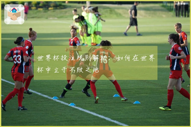 世界杯投注规则解析：如何在世界杯中立于不败之地