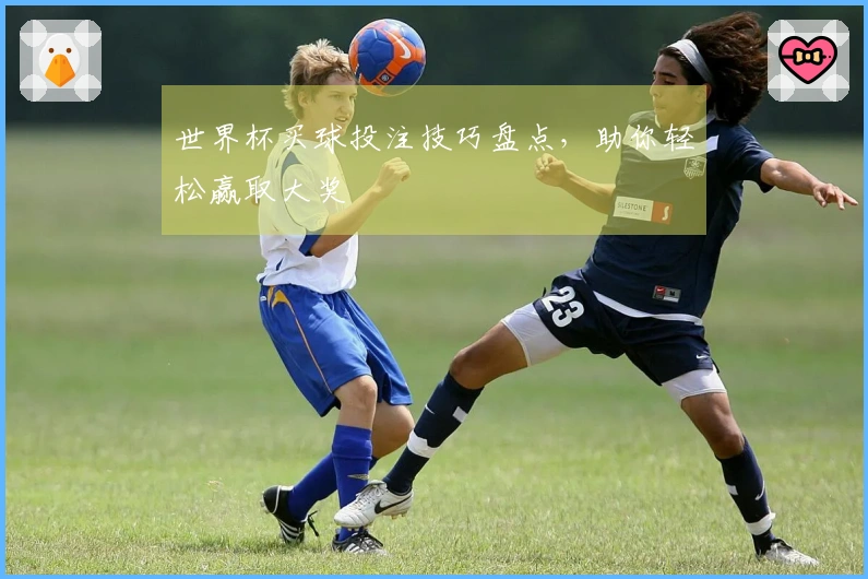 世界杯买球投注技巧盘点，助你轻松赢取大奖