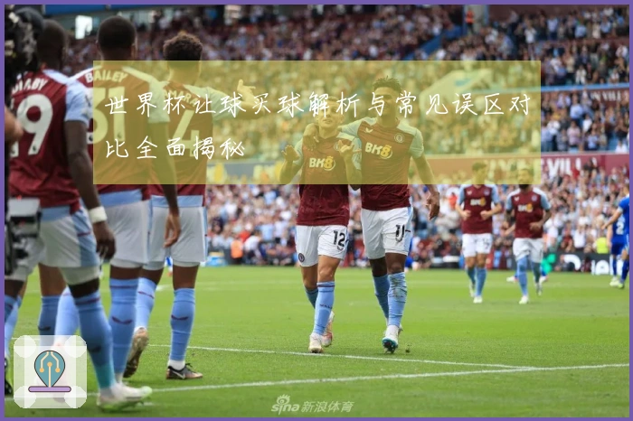 世界杯让球买球解析与常见误区对比全面揭秘