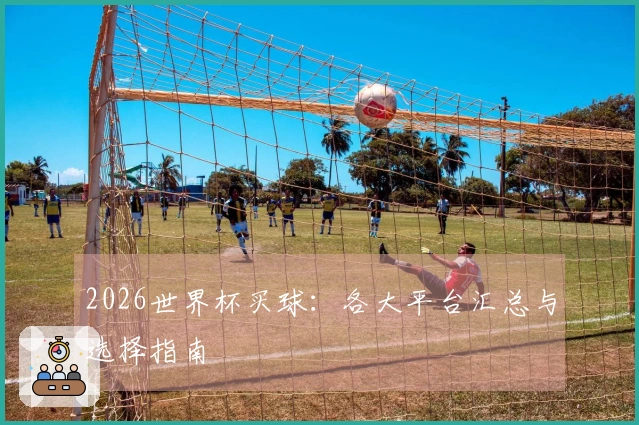2026世界杯买球：各大平台汇总与选择指南
