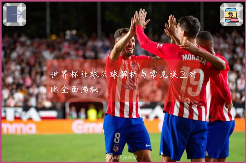 世界杯让球买球解析与常见误区对比全面揭秘